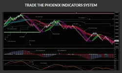 PHOENIX INDICATORS SYSTEM NT8