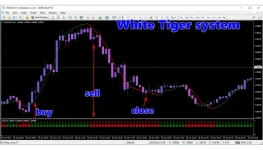 WHITE TIGER SYSTEM MT4