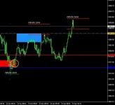 IMG_4466.webp IMG_4466.webp