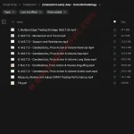 US JLAW Trading Champion Course