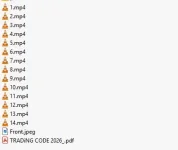1.webp