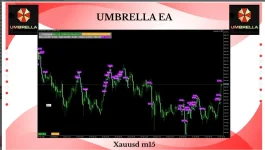 Umbrella EA MT5