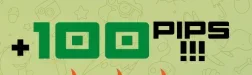 1779932089366.webp