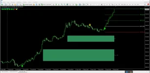 milionaire-2.1.webp