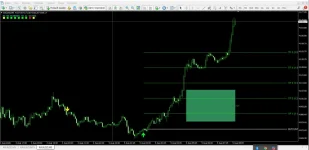 milionaire-2.2.webp