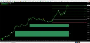 milionaire-2.webp