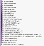 G*va Trading Academy - Cluster Delta - Course