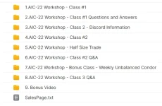 Aeromir – Amy Meissner’s AIC-22 Workshop