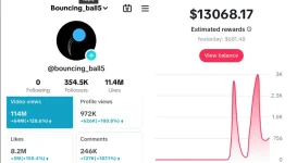 How to Create Simulation Videos on TikTok & Bank Big $$$