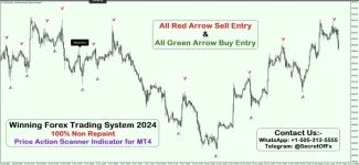 WINNING FOREX TRADING SYSTEM 2024