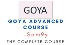 Goya Advanced Course.webp