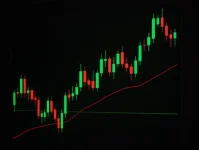 Tradingriot Education