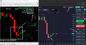GURU SNIPER PRO 1.webp