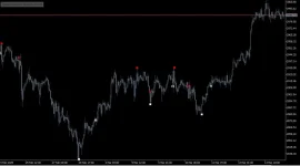 NON REP RR INDI.webp