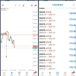 GOLD TRADER (signals)