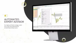 Currency Pros EA v1.14 MT5