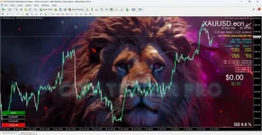 CITY ROYAL GOLD HUNTER PRO